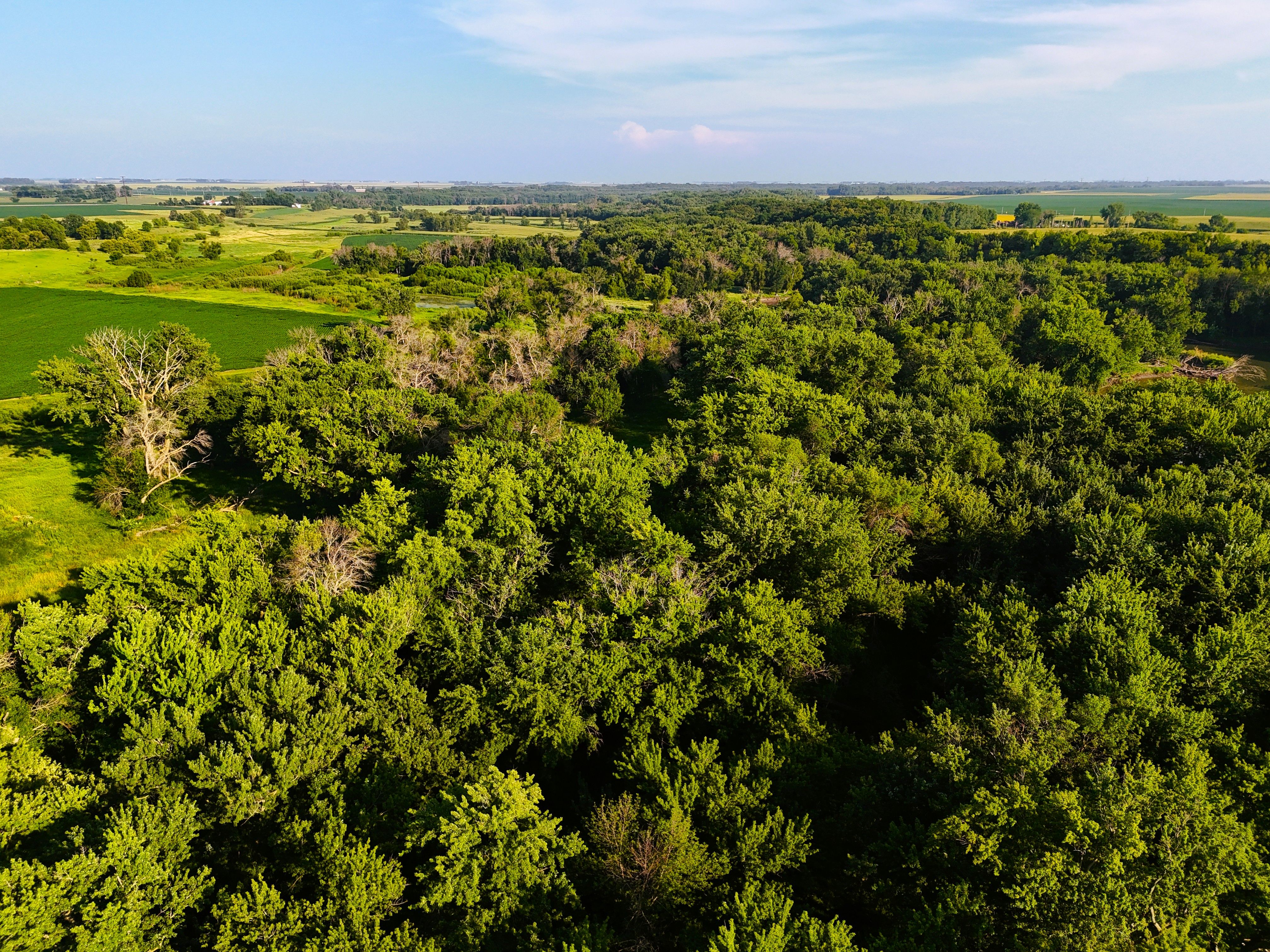 Listing Photo: Mid Air 6
